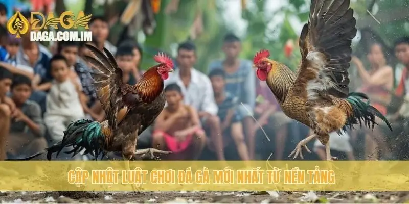 Luật chơi đá gà cựa sắt: Cập nhật quy định mới nhất Daga 3 Cập nhật luật chơi đá gà mới nhất từ nền tảng