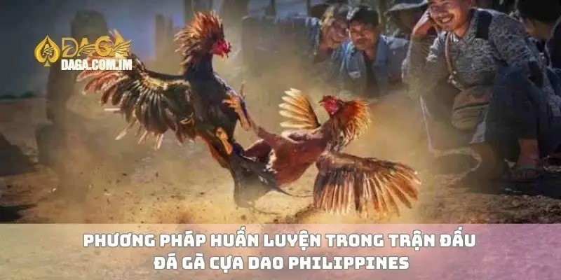 Phương pháp huấn luyện trong trận đấu đá gà cựa dao Philippines