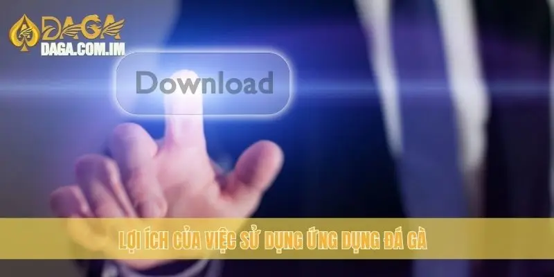 Lợi ích của việc sử dụng ứng dụng đá gà