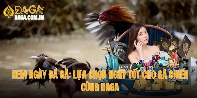 xem ngày đá gà